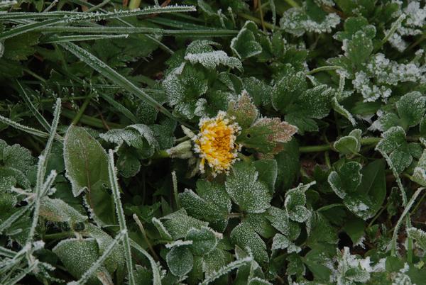 Winter_0276