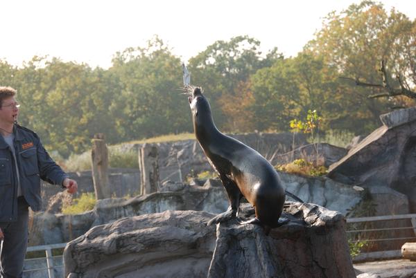 Zoo_Gelsenkirchen_231